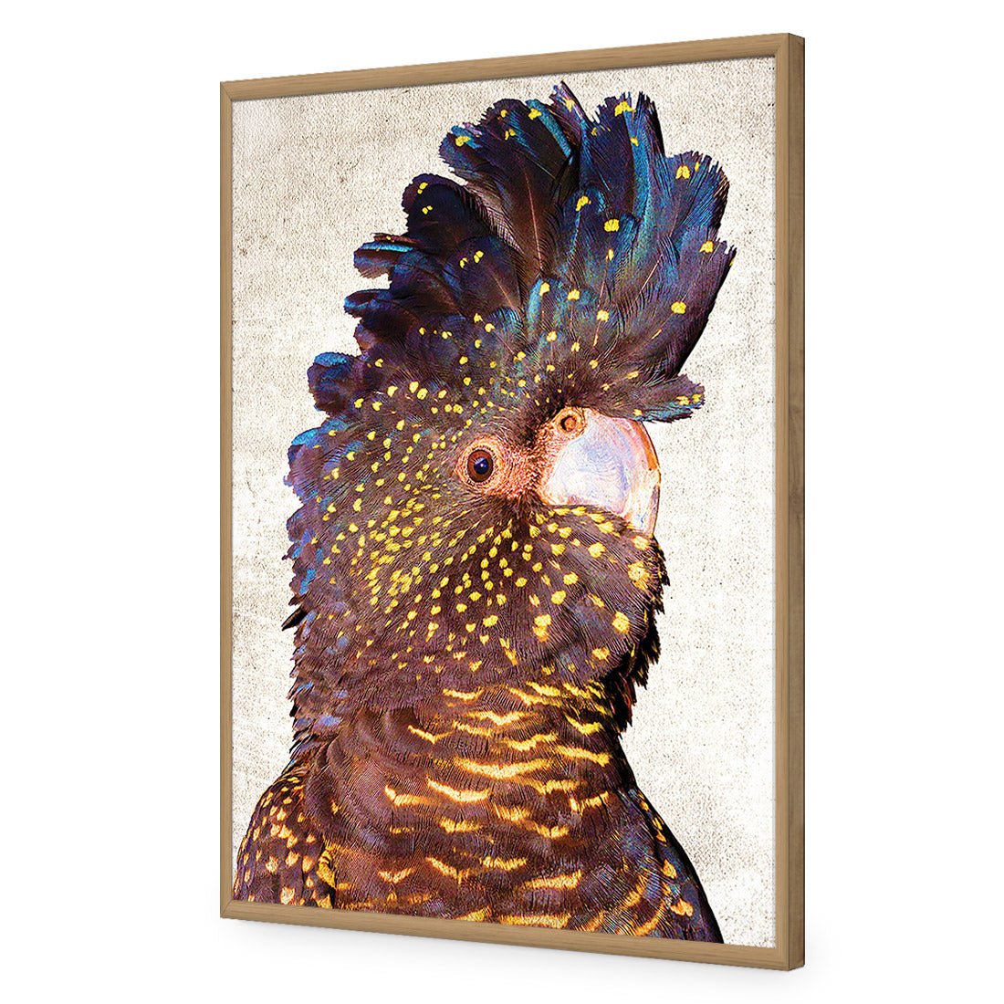 Black Cockatoo Front, Grunge Acrylic Print Art