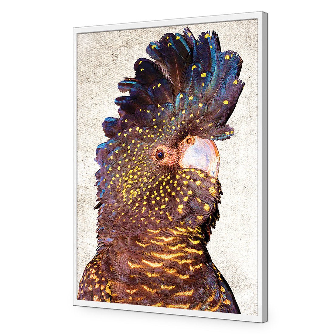 Black Cockatoo Front, Grunge Acrylic Print Art