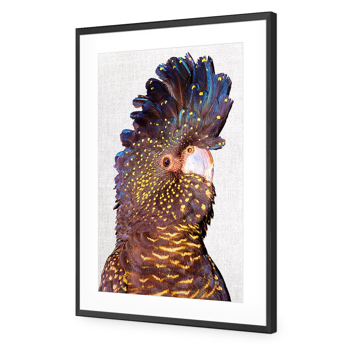 Black Cockatoo Front, Linen Acrylic Print Art