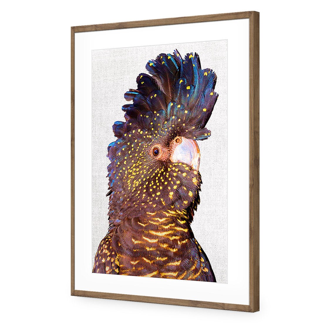 Black Cockatoo Front, Linen Acrylic Print Art