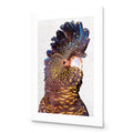 Black Cockatoo Front, Linen Acrylic Print Art