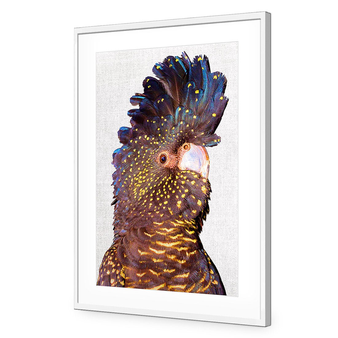 Black Cockatoo Front, Linen Acrylic Print Art