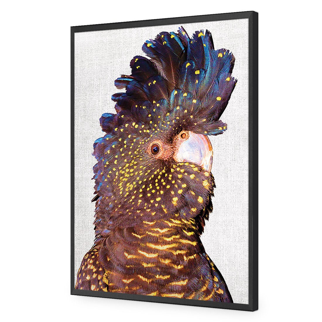 Black Cockatoo Front, Linen Acrylic Print Art