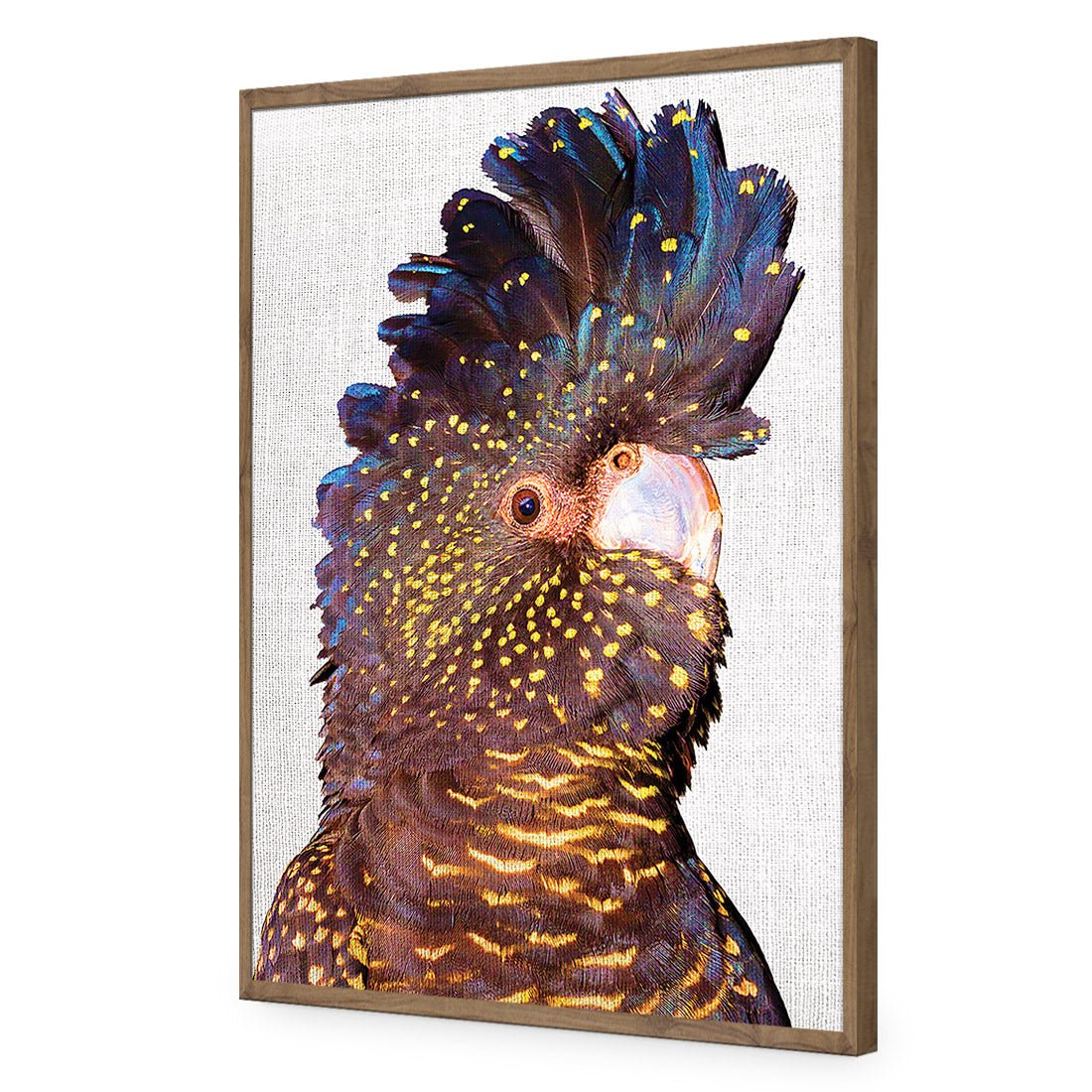 Black Cockatoo Front, Linen Acrylic Print Art