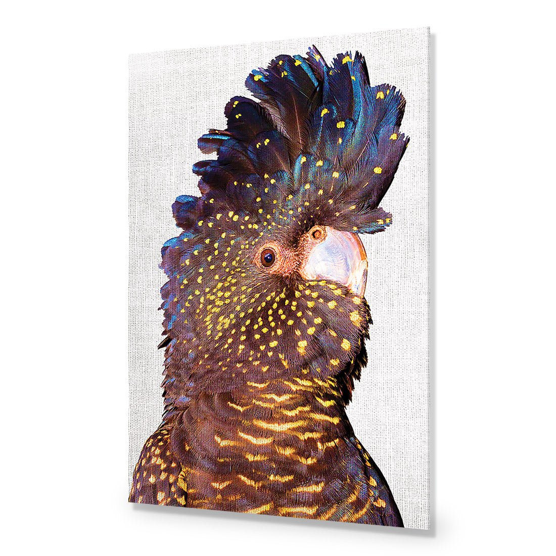 Black Cockatoo Front, Linen Acrylic Print Art