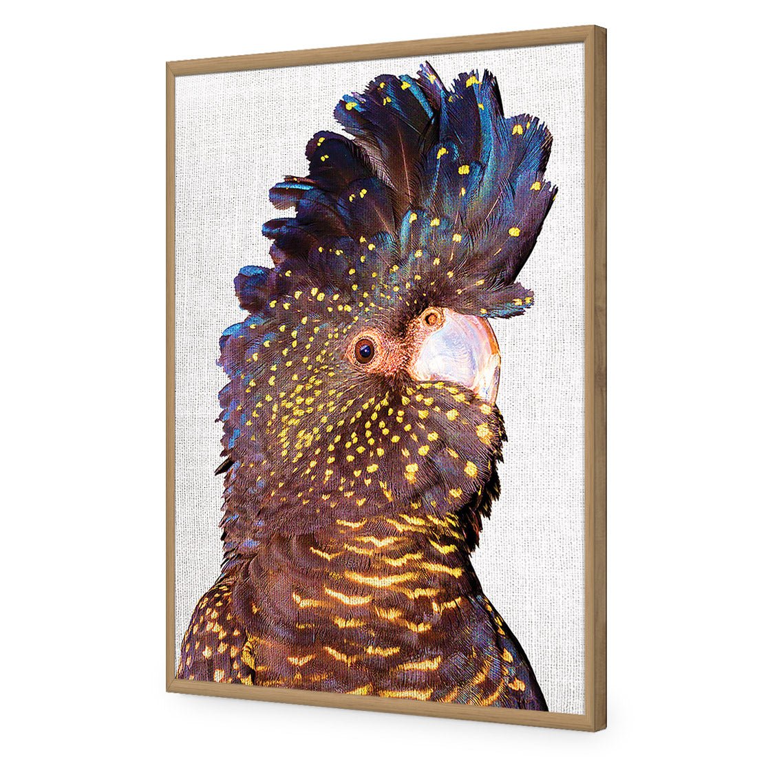 Black Cockatoo Front, Linen Acrylic Print Art