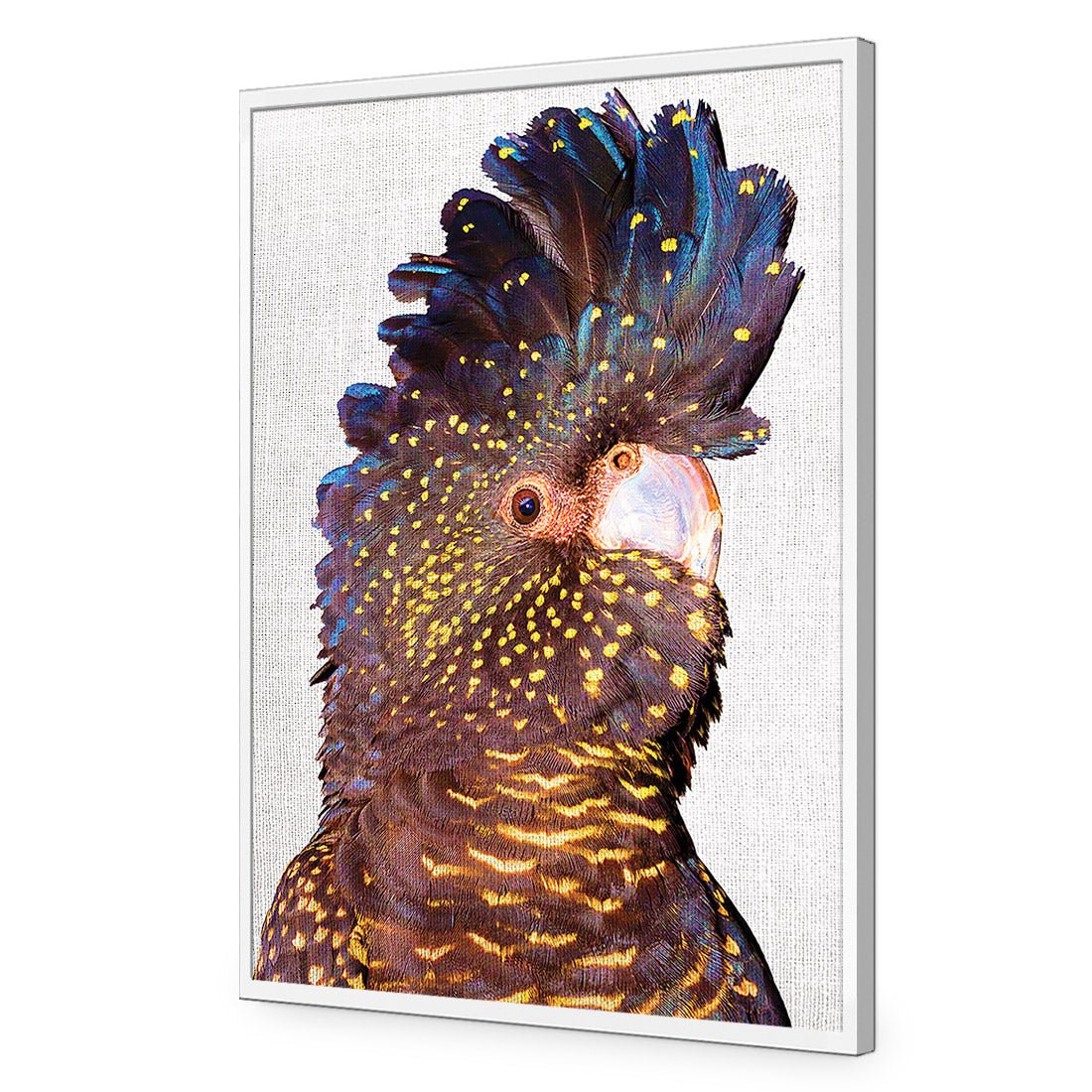 Black Cockatoo Front, Linen Acrylic Print Art