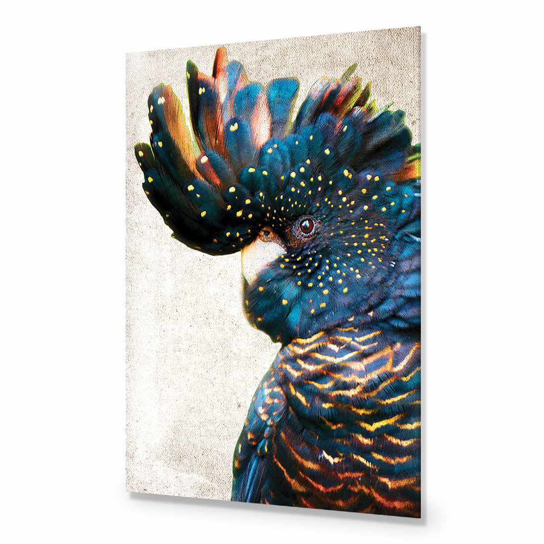 Black Cockatoo Side, Grunge Acrylic Print Art