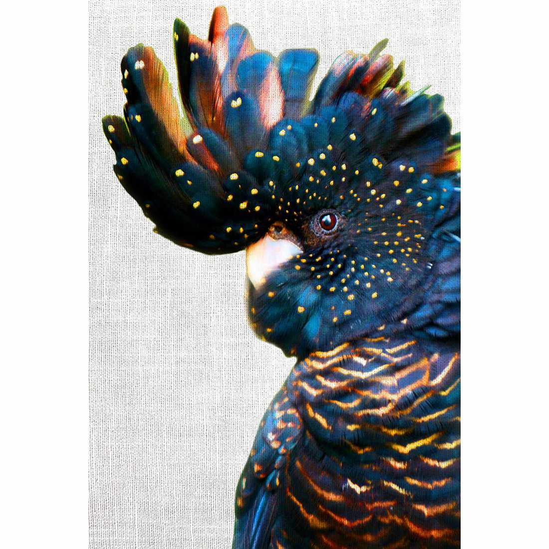 Black Cockatoo Side, Linen Acrylic Print Art