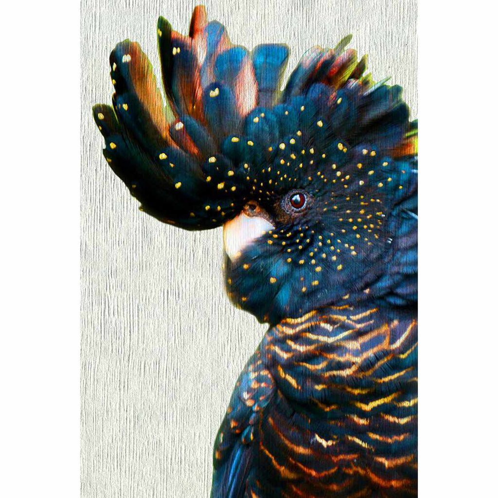 Black Cockatoo Side, Paper Acrylic Print Art