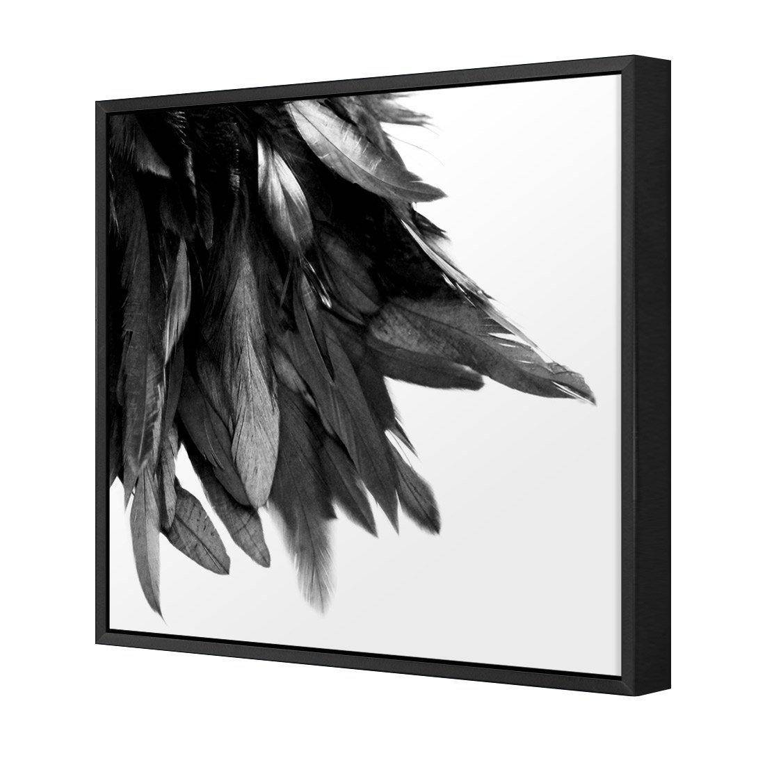 Black Feather Tail, B&W Canvas Art
