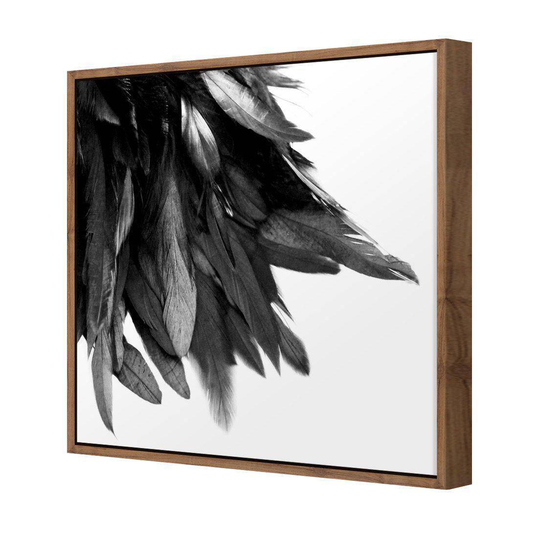Black Feather Tail, B&W Canvas Art
