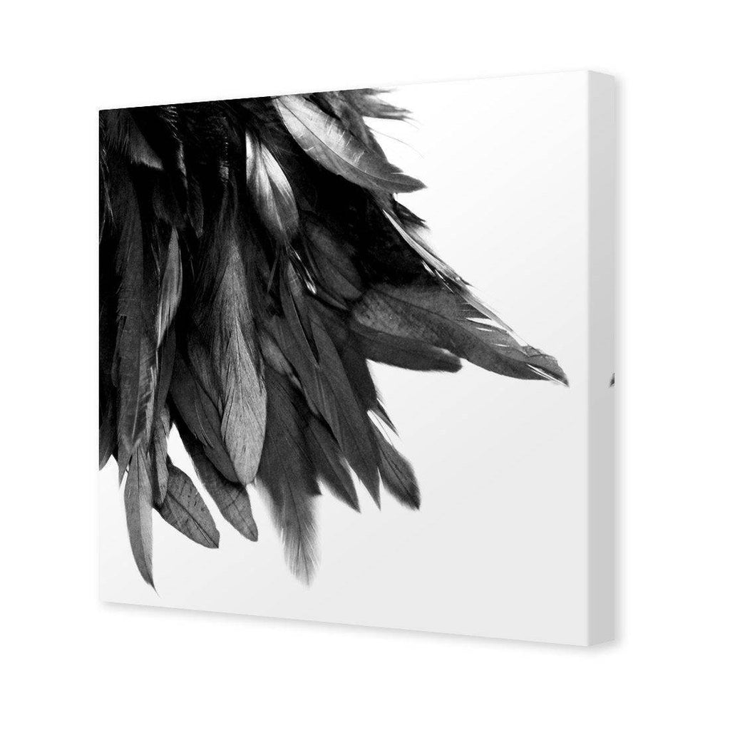 Black Feather Tail, B&W Canvas Art