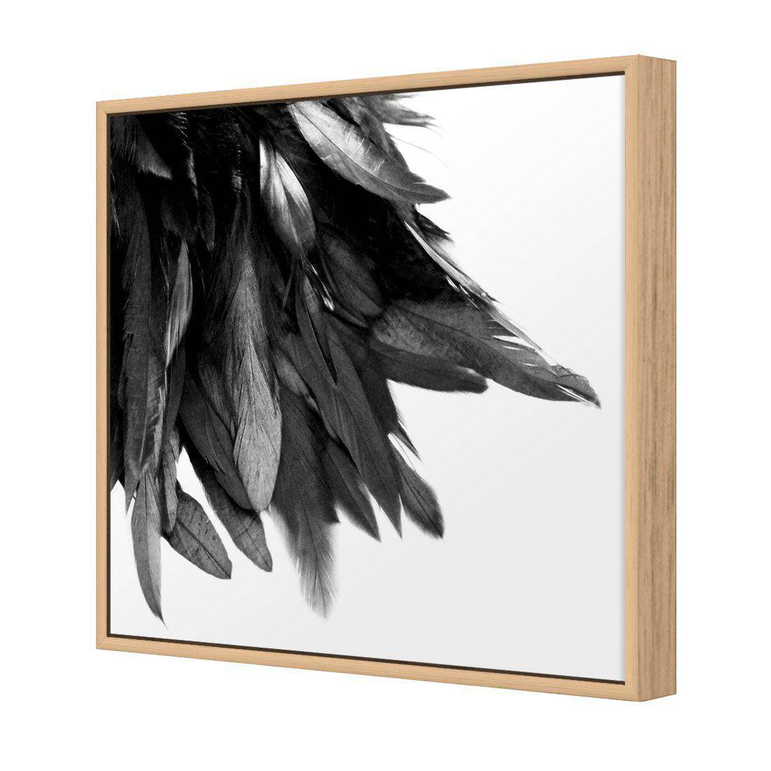 Black Feather Tail, B&W Canvas Art