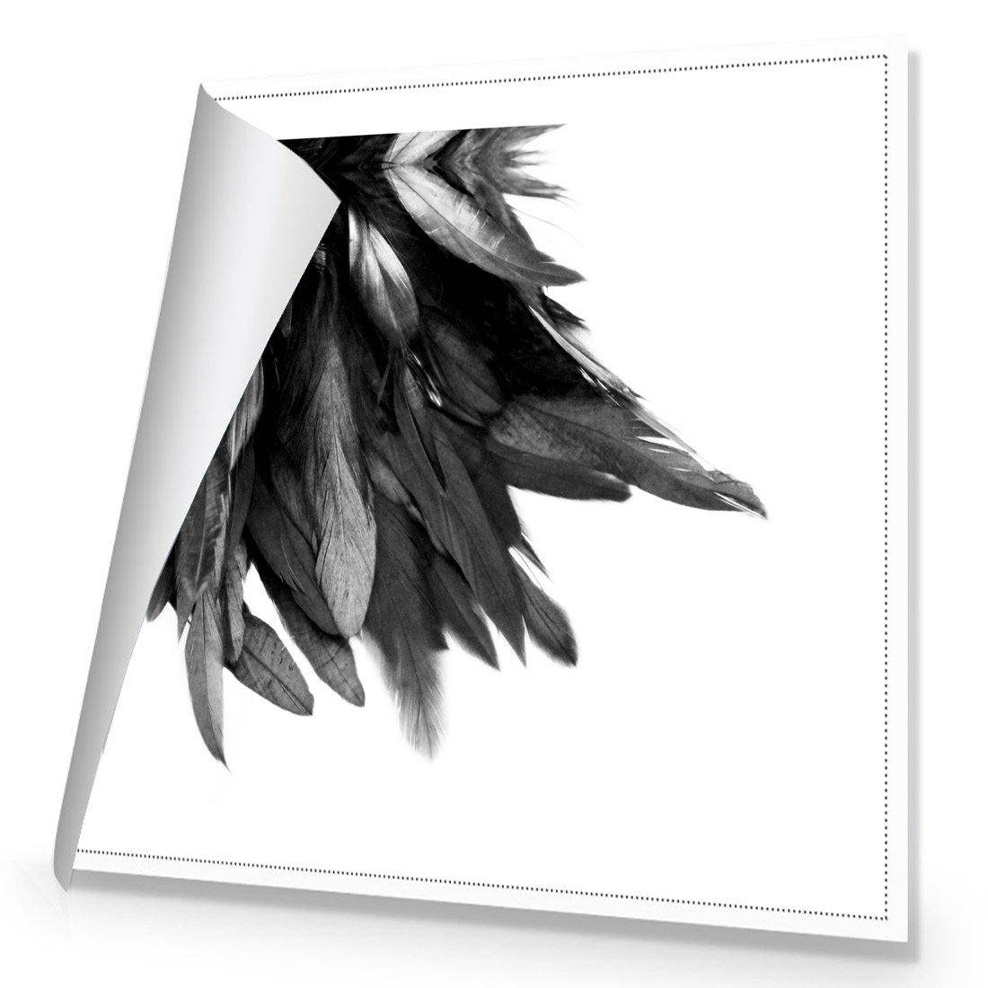 Black Feather Tail, B&W Canvas Art