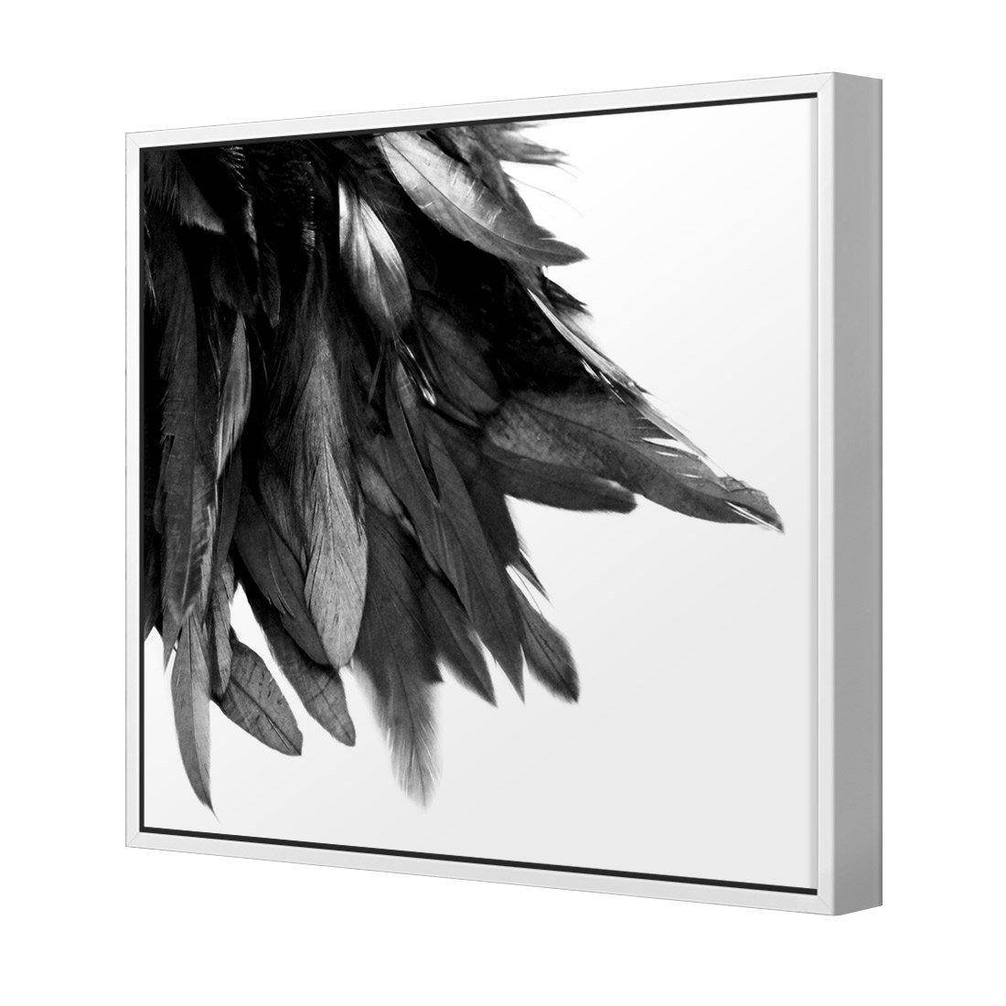 Black Feather Tail, B&W Canvas Art