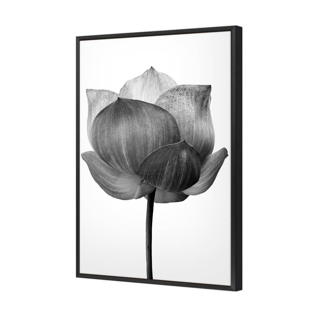 Black Lotus Canvas Art