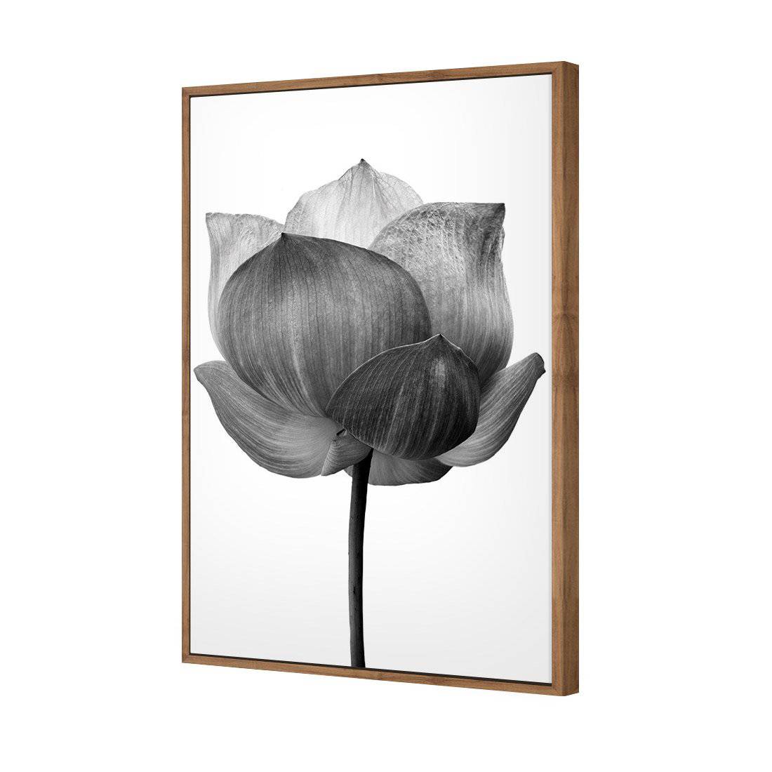 Black Lotus Canvas Art