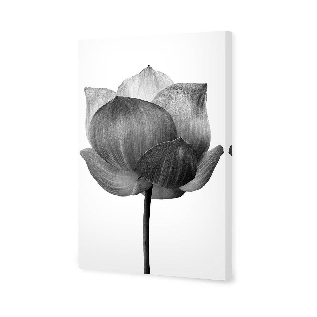 Black Lotus Canvas Art