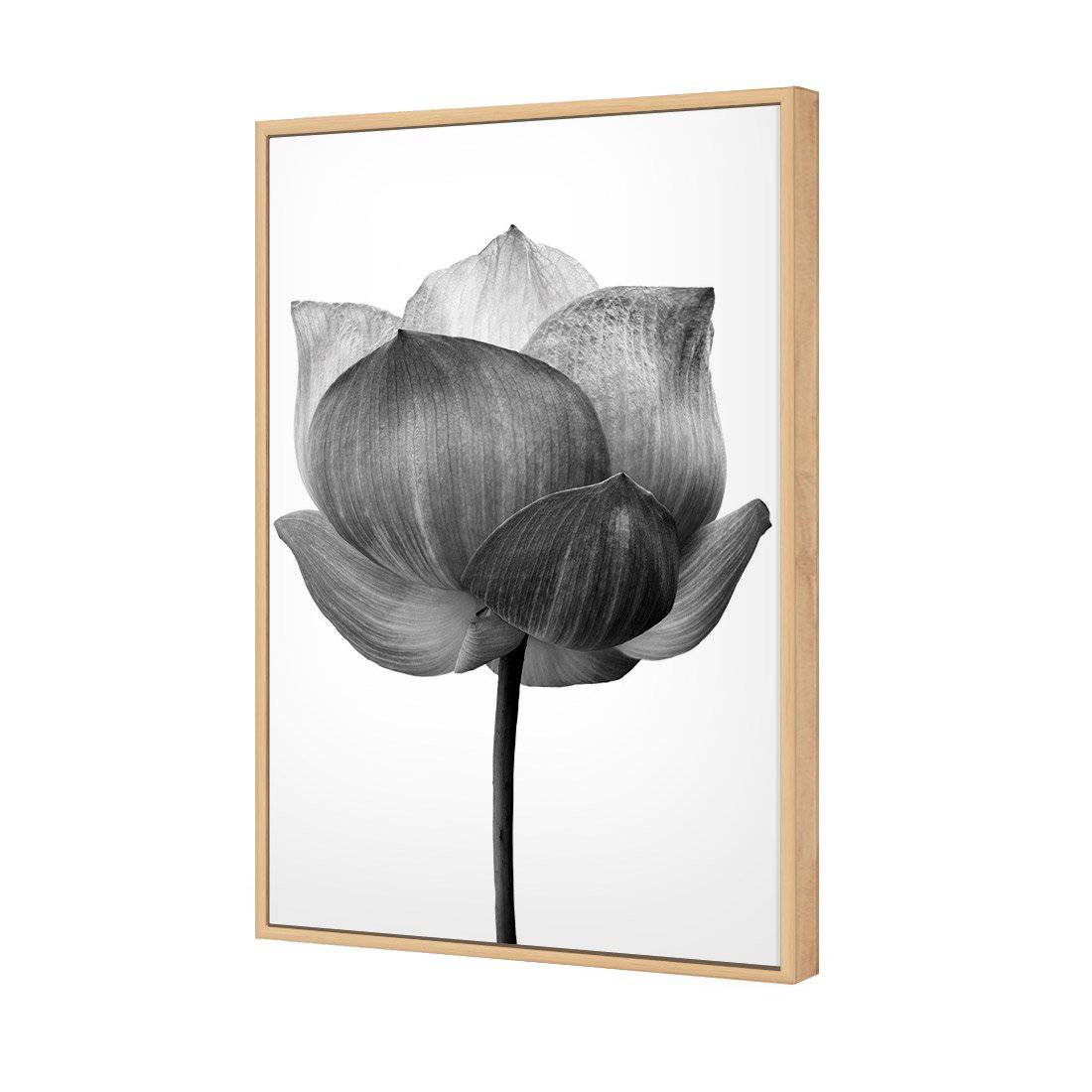 Black Lotus Canvas Art