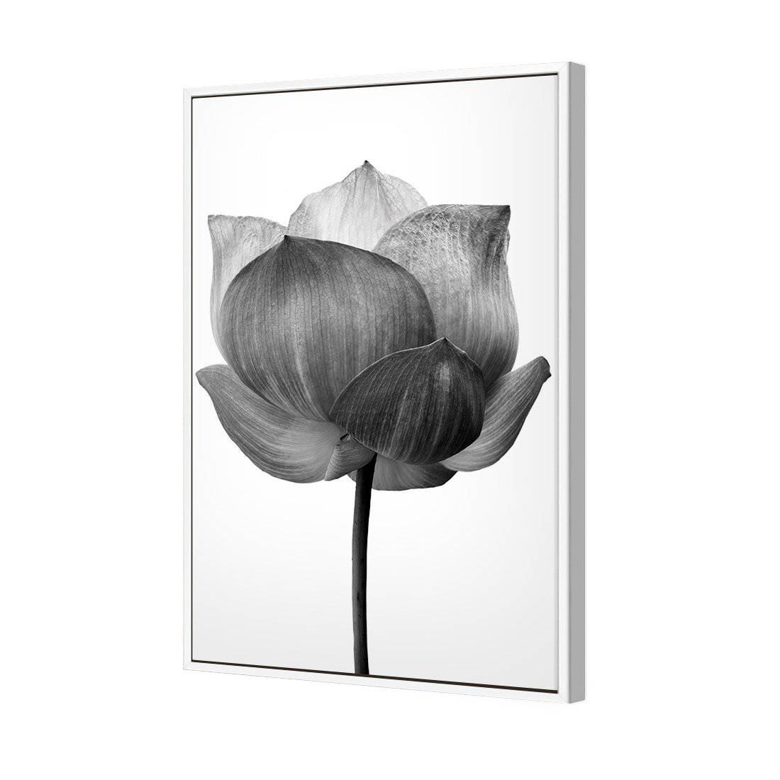 Black Lotus Canvas Art