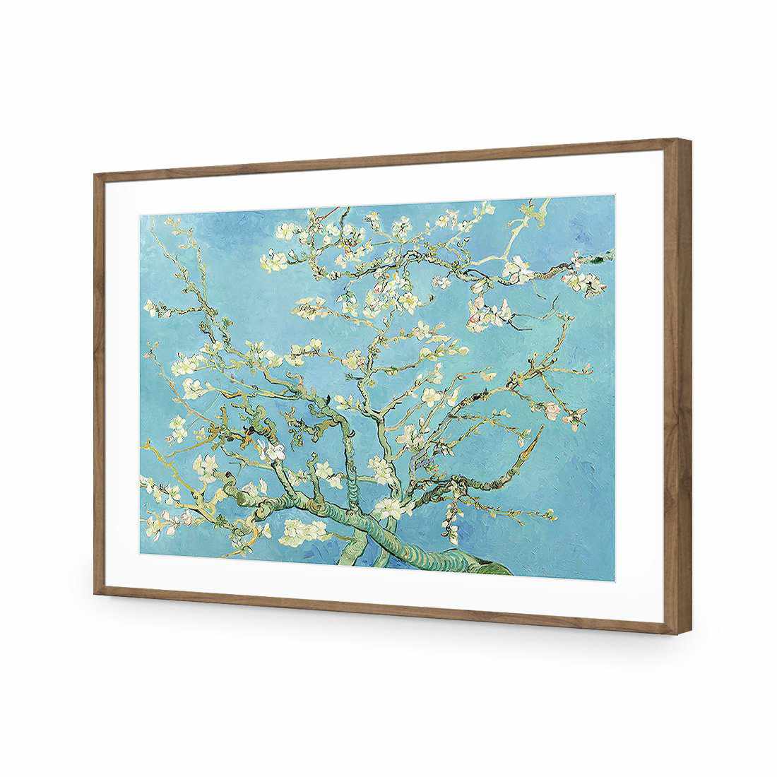 Blossoming Almond Tree - Van Gogh Acrylic Print Art
