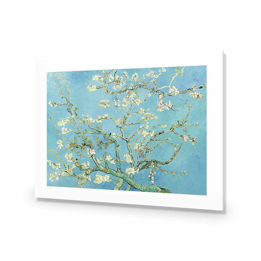 Blossoming Almond Tree - Van Gogh Acrylic Print Art