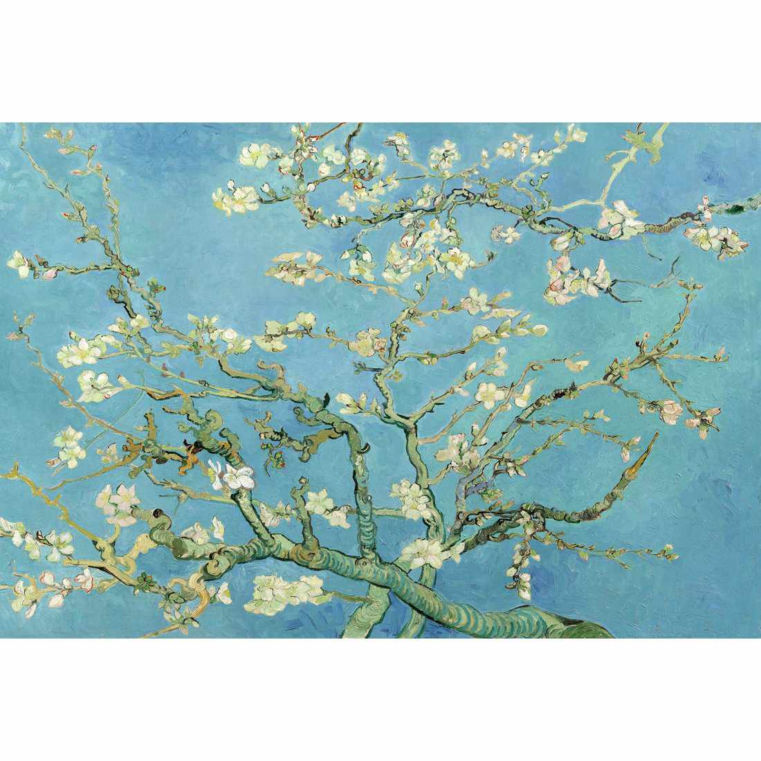 Blossoming Almond Tree - Van Gogh Acrylic Print Art