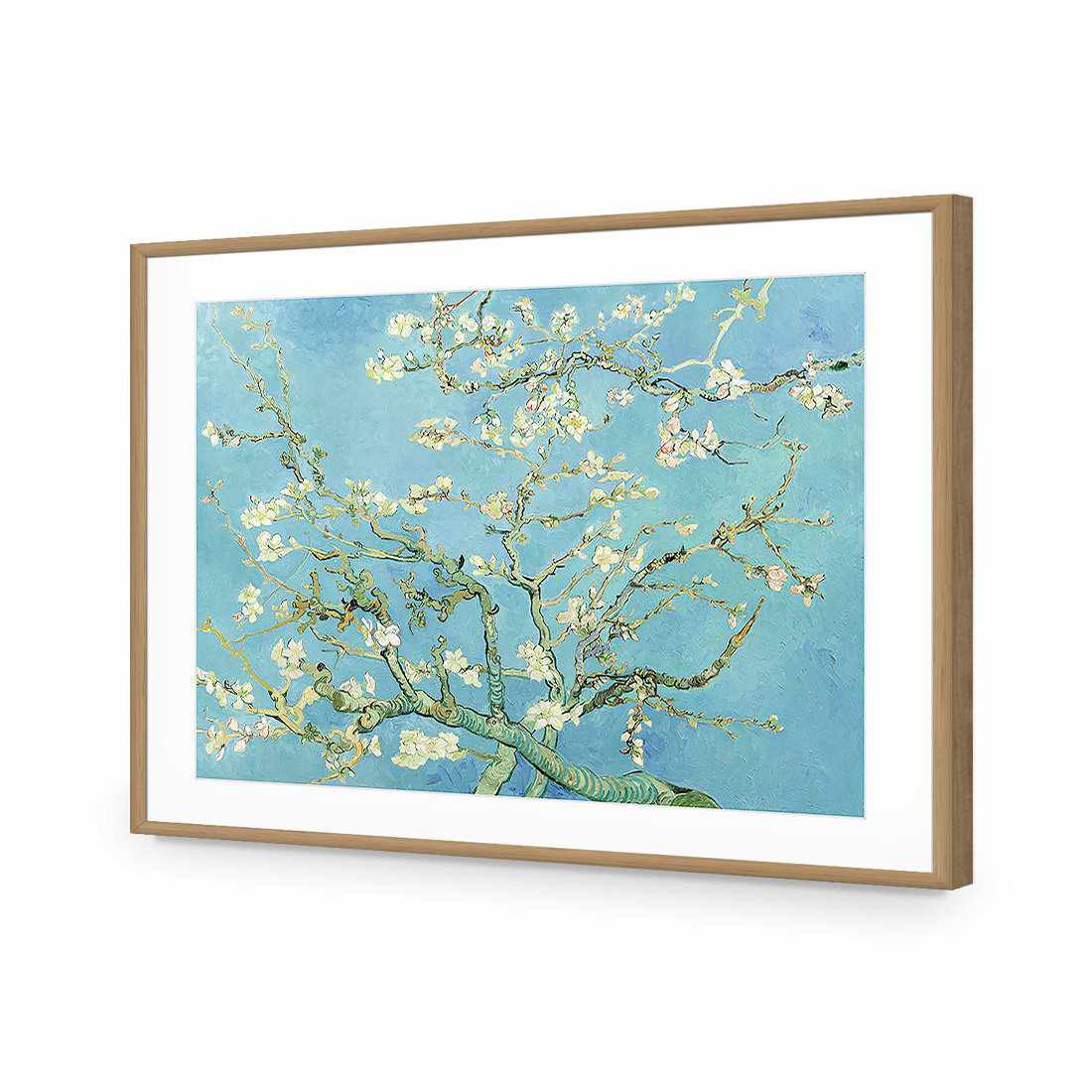 Blossoming Almond Tree - Van Gogh Acrylic Print Art