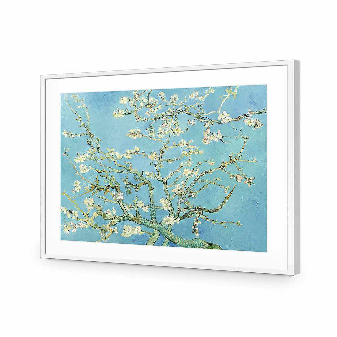 Blossoming Almond Tree - Van Gogh Acrylic Print Art