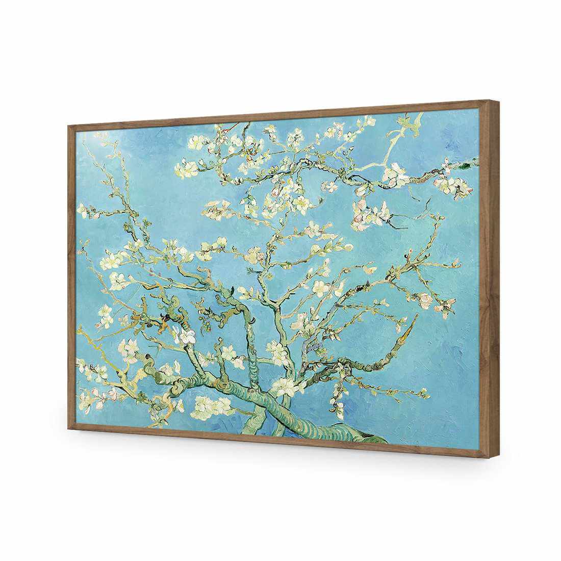 Blossoming Almond Tree - Van Gogh Acrylic Print Art