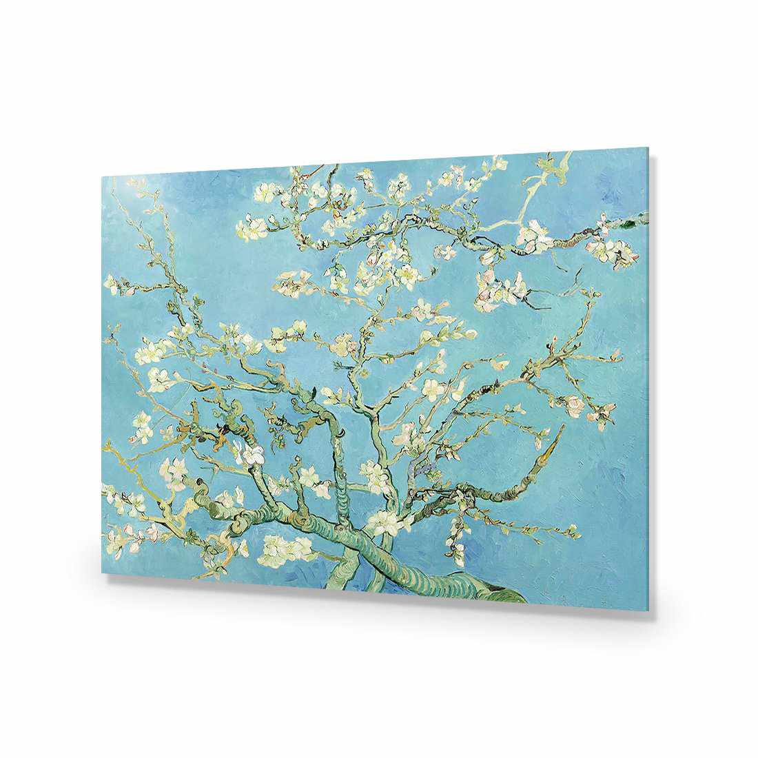 Blossoming Almond Tree - Van Gogh Acrylic Print Art