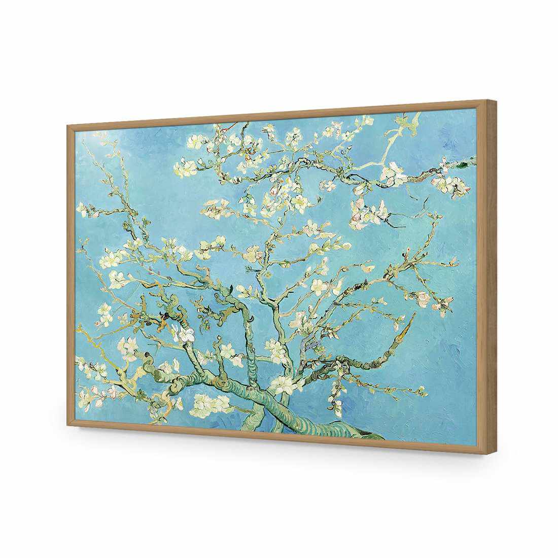 Blossoming Almond Tree - Van Gogh Acrylic Print Art