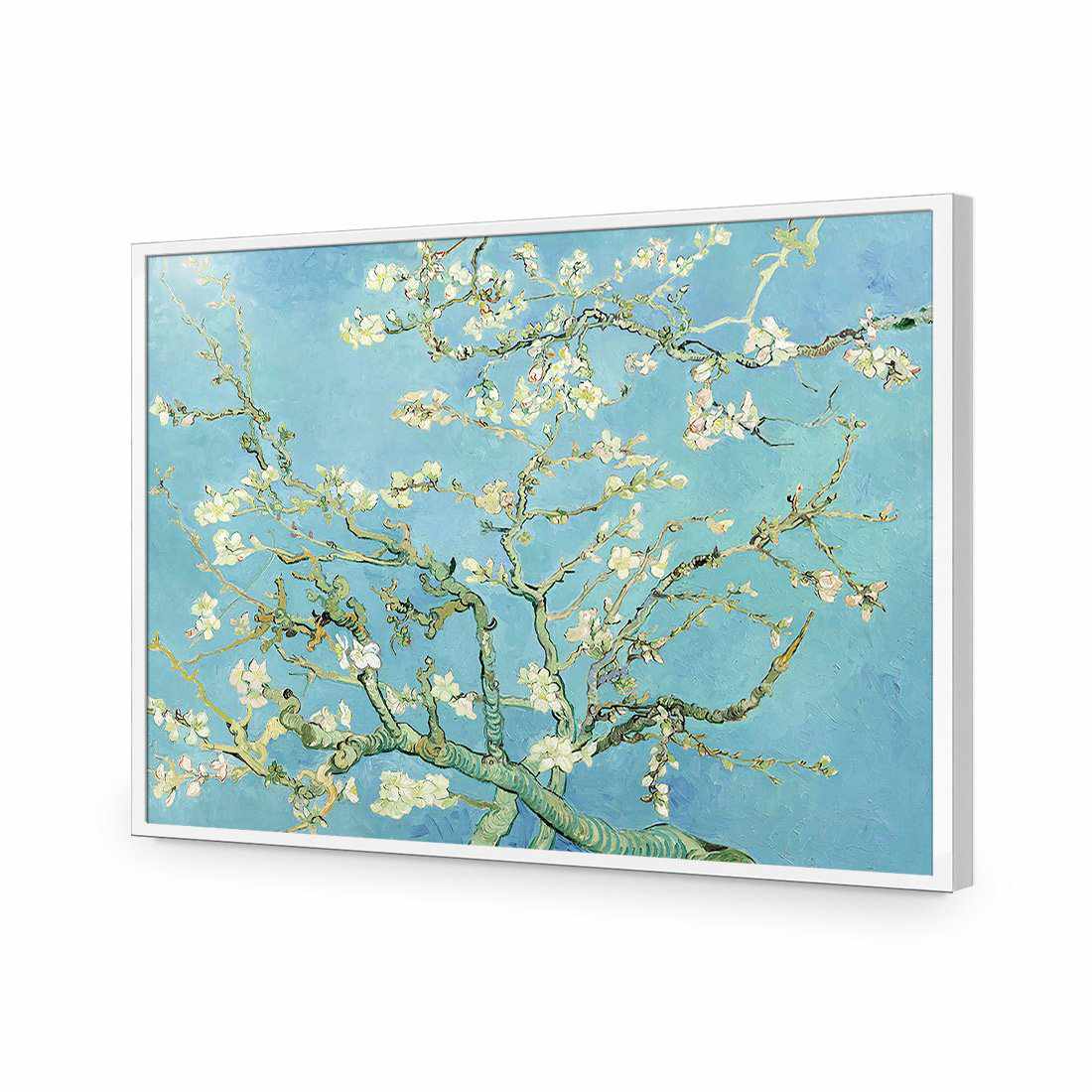 Blossoming Almond Tree - Van Gogh Acrylic Print Art