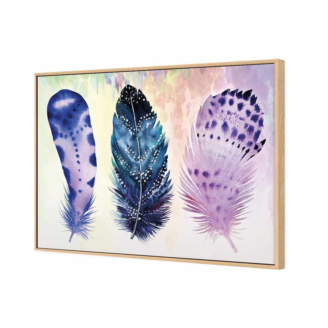 Boho Feathers Canvas Art