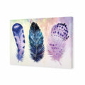 Boho Feathers Canvas Art