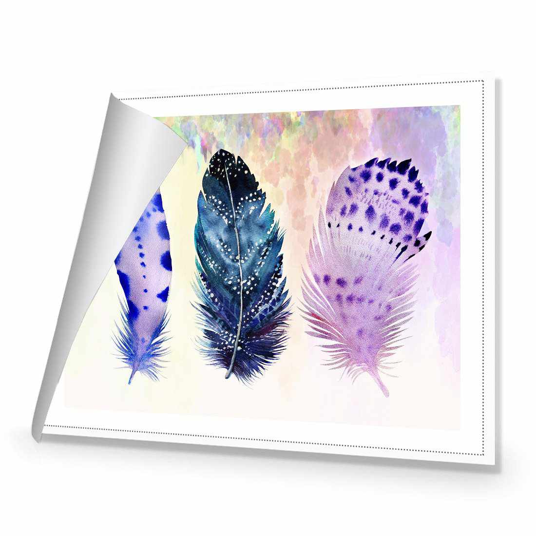 Boho Feathers Canvas Art