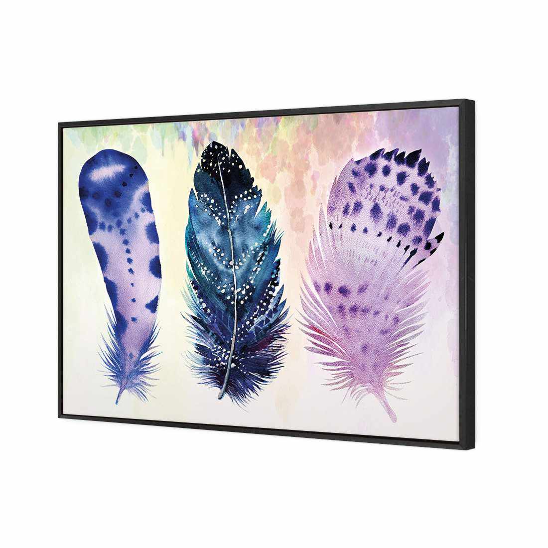 Boho Feathers Canvas Art