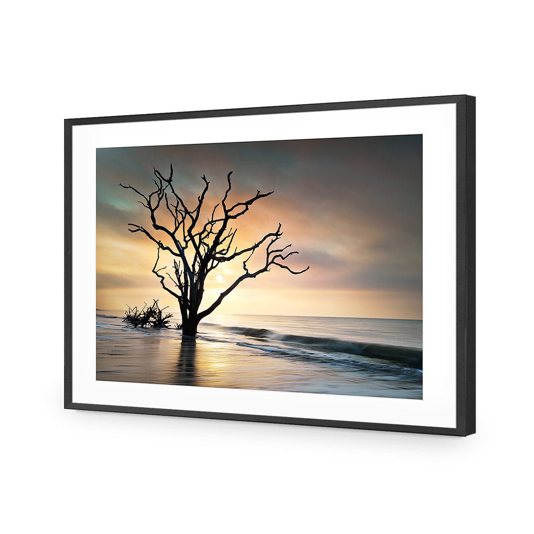 Botany Bay Sunrise Acrylic Print Art