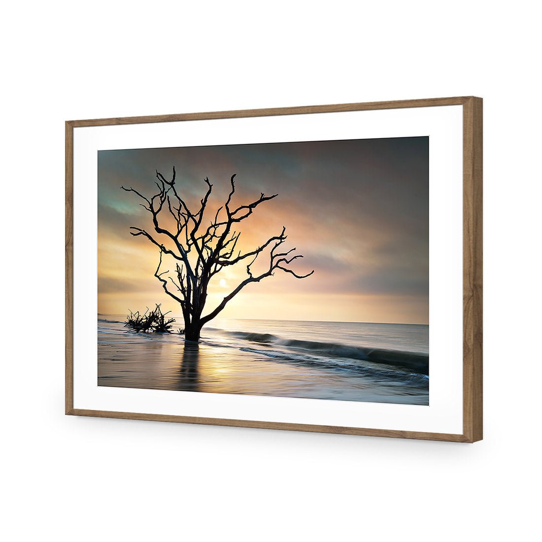 Botany Bay Sunrise Acrylic Print Art