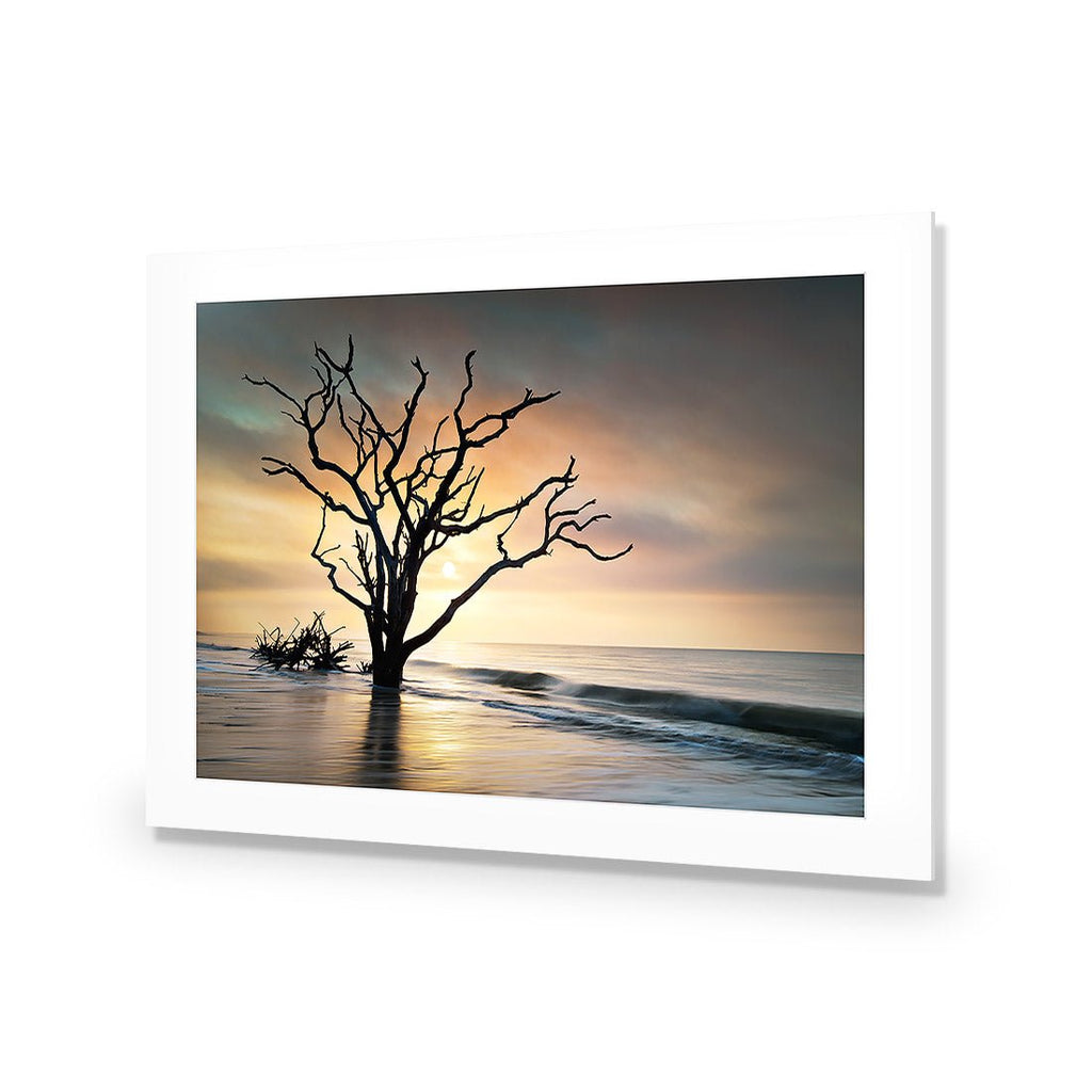 Botany Bay Sunrise Acrylic Print Art