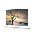 Botany Bay Sunrise Acrylic Print Art