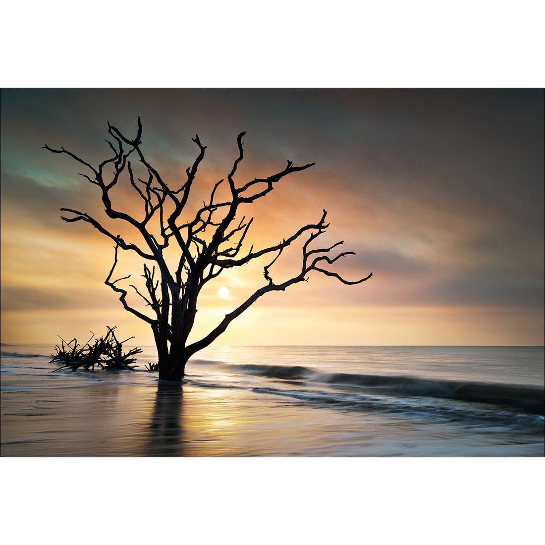 Botany Bay Sunrise Acrylic Print Art