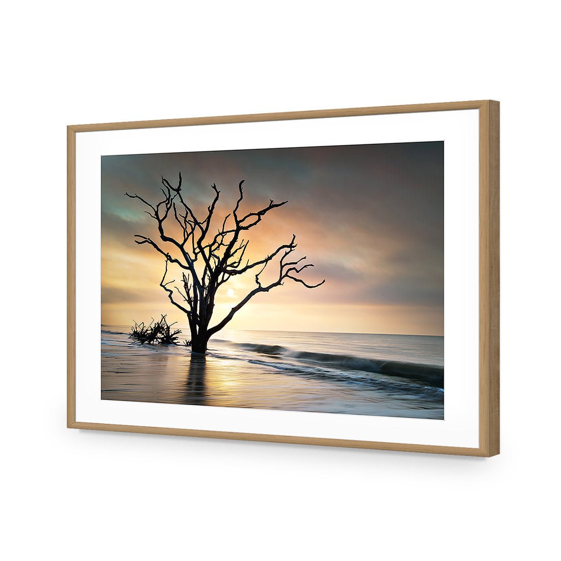 Botany Bay Sunrise Acrylic Print Art