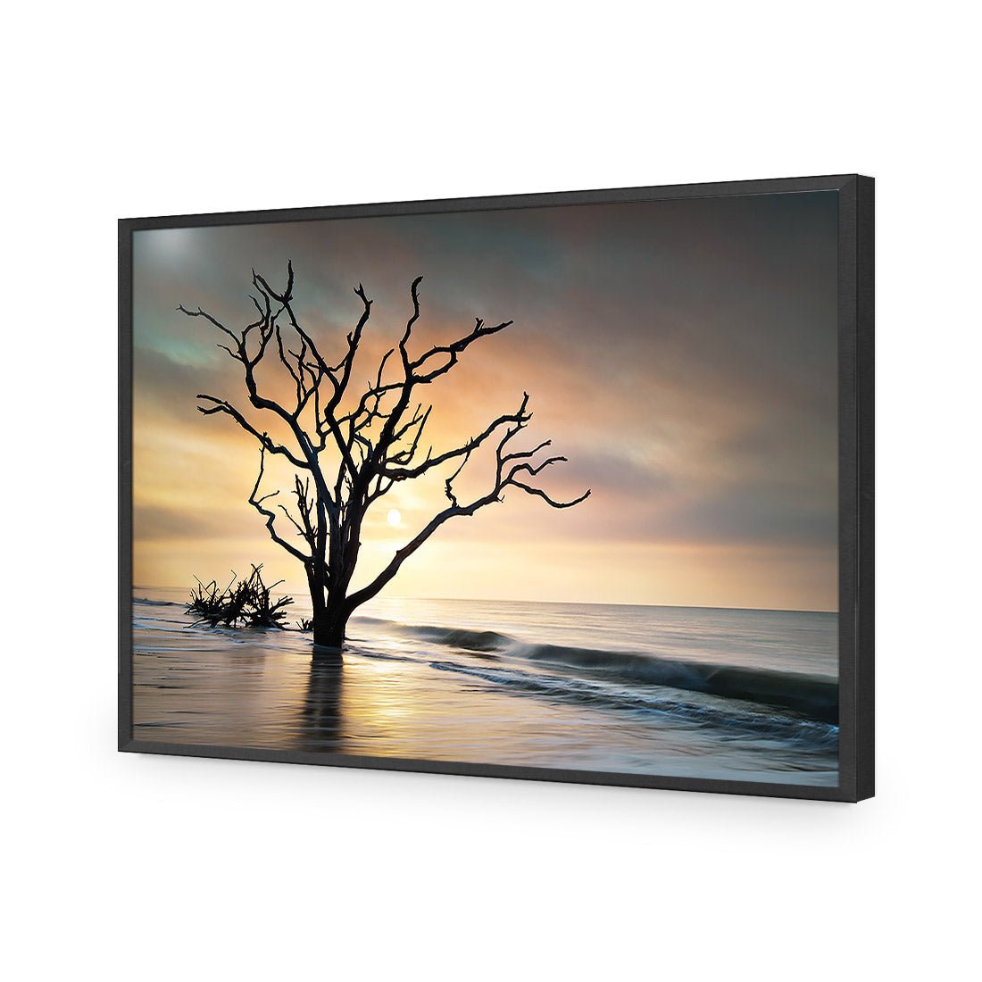 Botany Bay Sunrise Acrylic Print Art