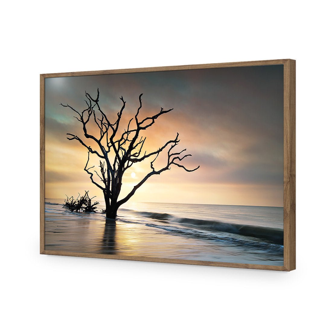 Botany Bay Sunrise Acrylic Print Art