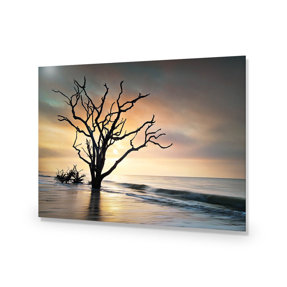 Botany Bay Sunrise Acrylic Print Art