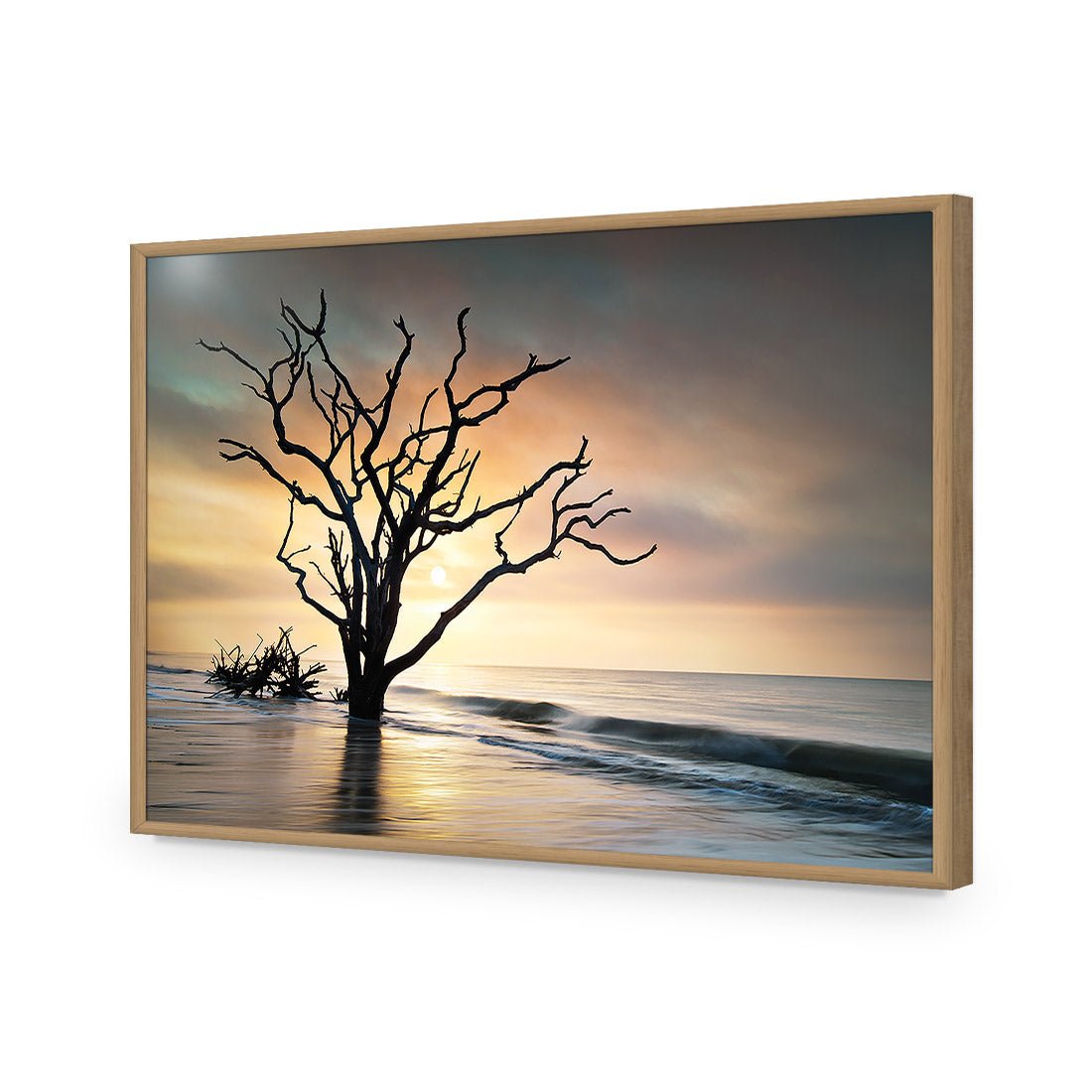 Botany Bay Sunrise Acrylic Print Art