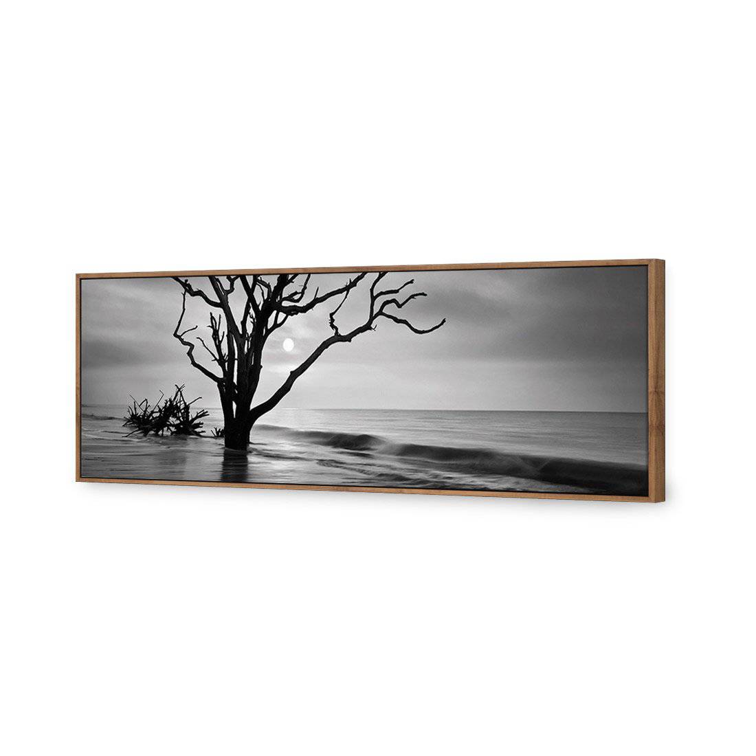 Botany Bay Sunrise, B&W Canvas Art