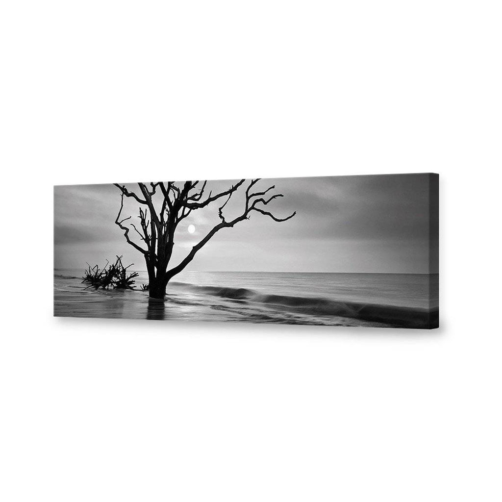 Botany Bay Sunrise, B&W Canvas Art